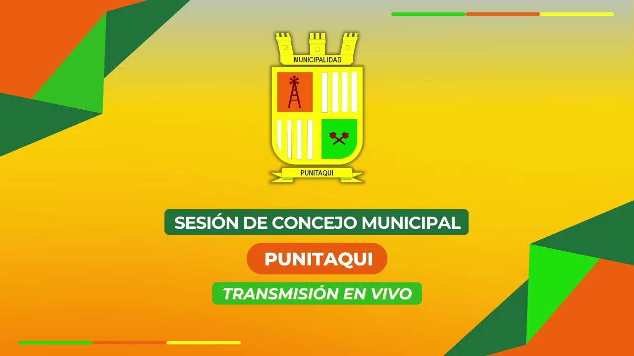 CONCEJO MUNICIPAL SESIÓN ORDINARIA N°29 (2)