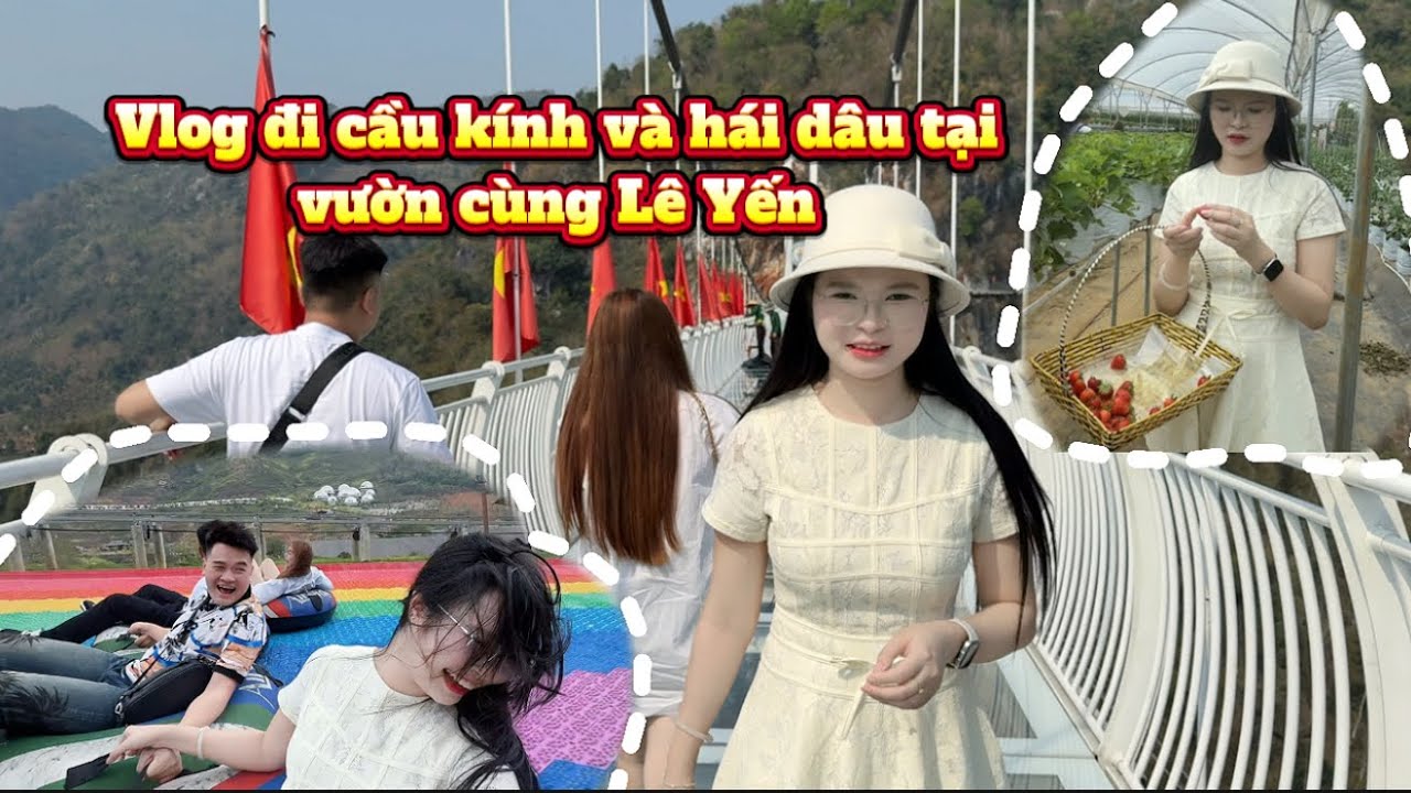 VLOG ĐI TRẢI NGHIỆM CẦU KÍNH VÀ HÁI DÂU TÂY TẠI VƯỜN MỘC CHÂU. 
