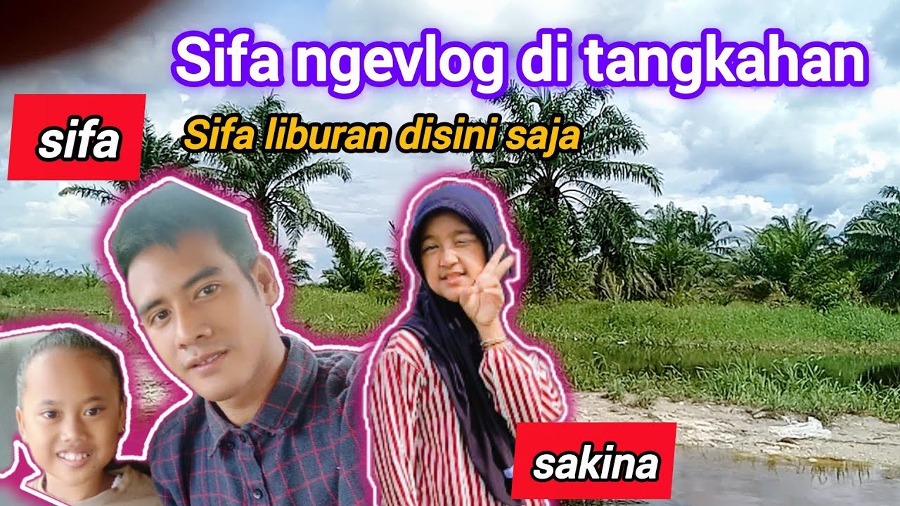 sifa ngevlog di tangkahan. 