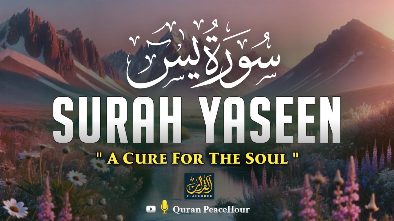 Surah Yaseen | سورة يس | Peaceful Quran Recitation to Relax the Heart and Strengthen Faith