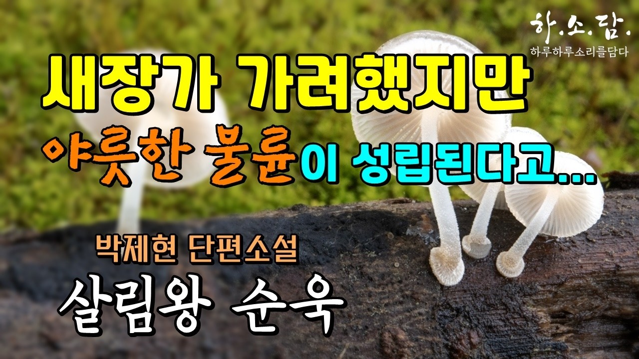 외로운 사람끼리 한 이불 안에서 정을 붙이며 살고 싶었다. [살림왕 순욱 박제현 단편소설] #하소담오디오드라마 #하소담오디오북