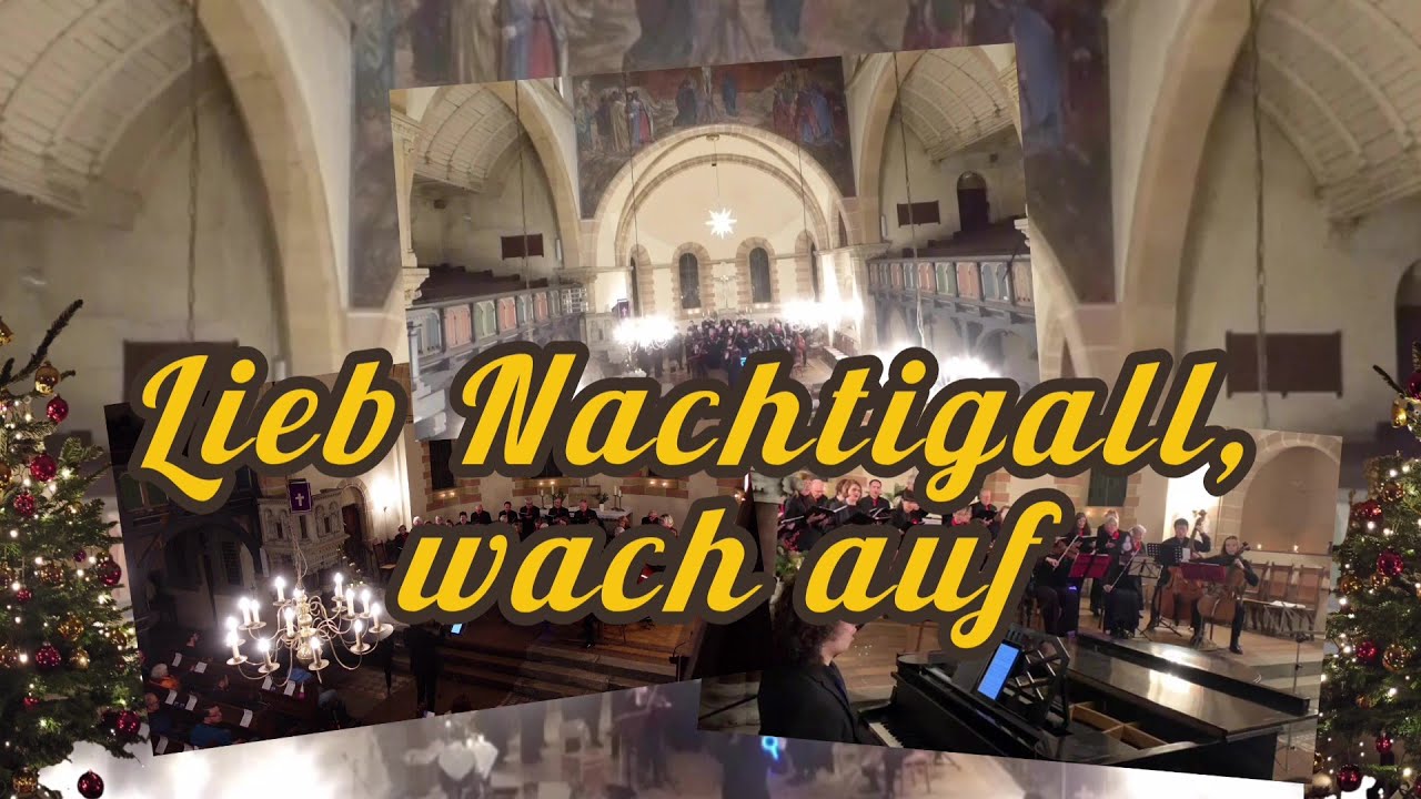 Lieb Nachtigall, wach auf