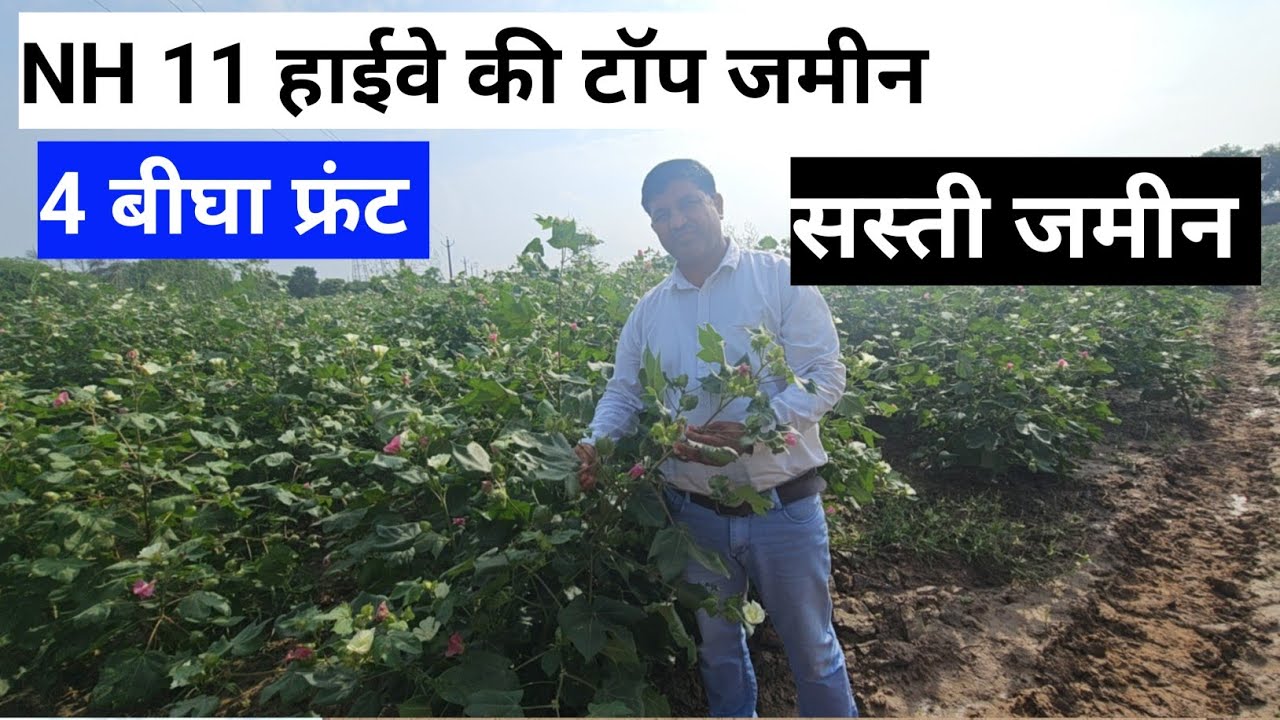 बीकानेर NH 11 हाईवे की 45 बीघा जमीन बिकाऊ। हाईवे की सस्ती जमीन बिकाऊ। राजस्थान हाईवे की जमीन बिकाऊ।