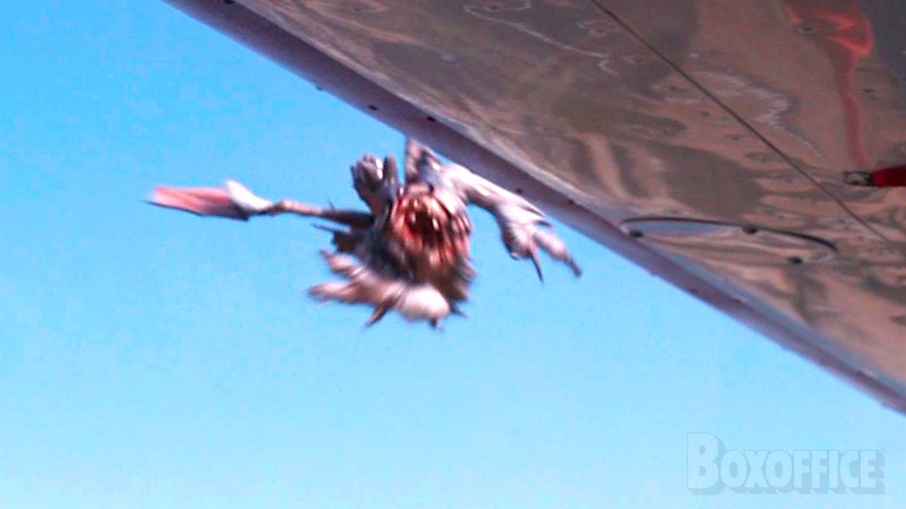 Dragon VS Plane | Tremors: A Cold Day in Hell | CLIP