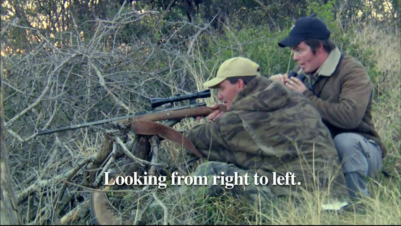 Hunting the Common Duiker - When Opportunity Knocks