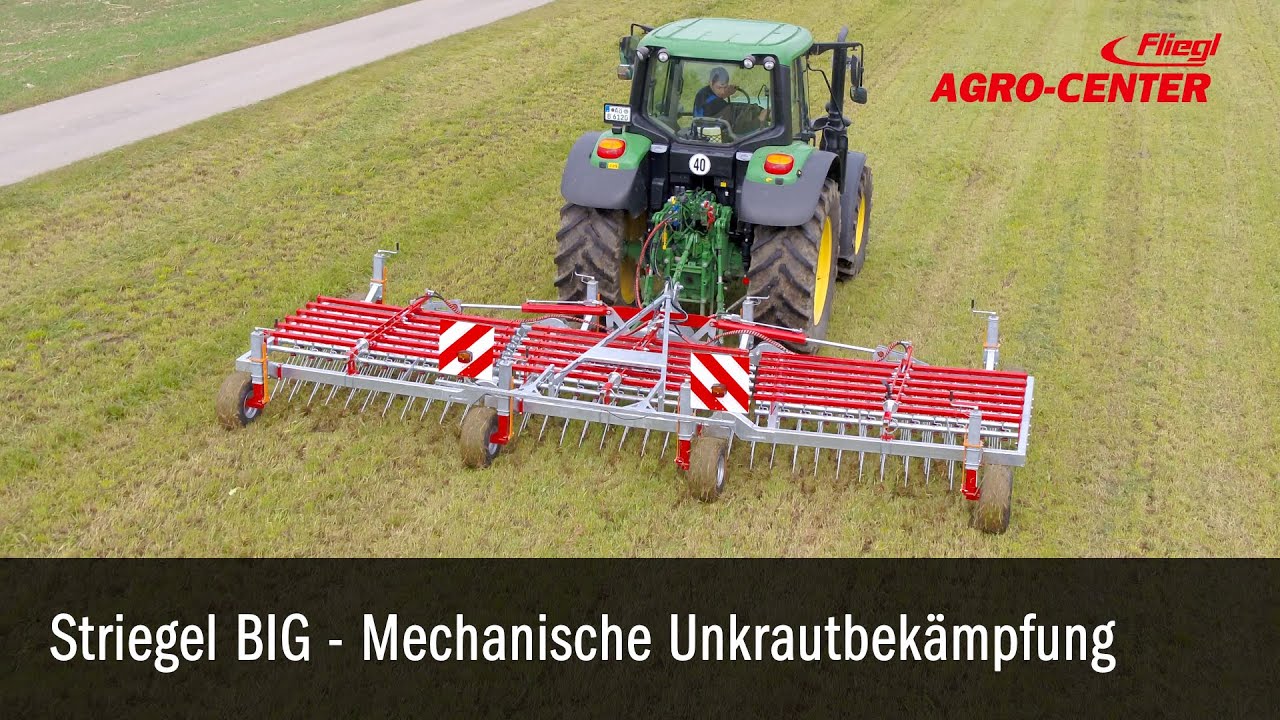 Striegel mechanische Unkrautbek&auml;mpfung Hacken Hackstriegel Unkraut