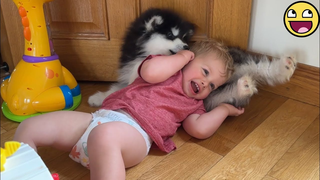 💞 