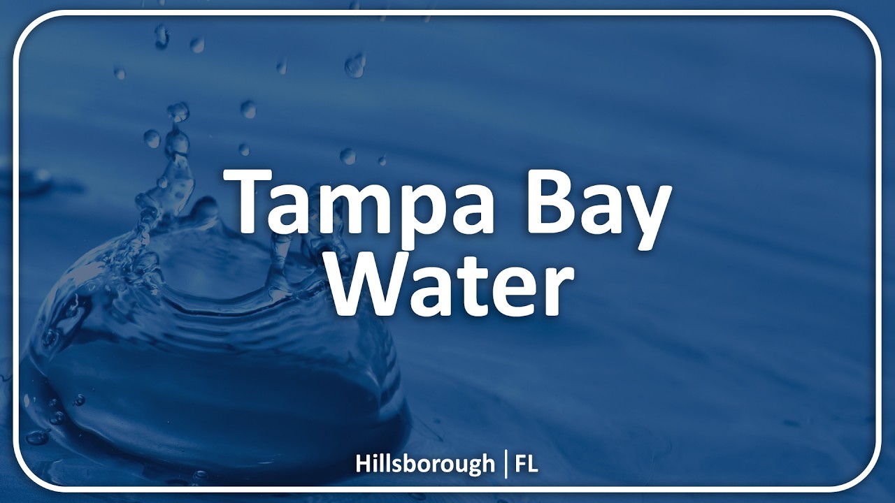 Tampa Bay Water: Regular Board of Directors Meeting - 02.23.26