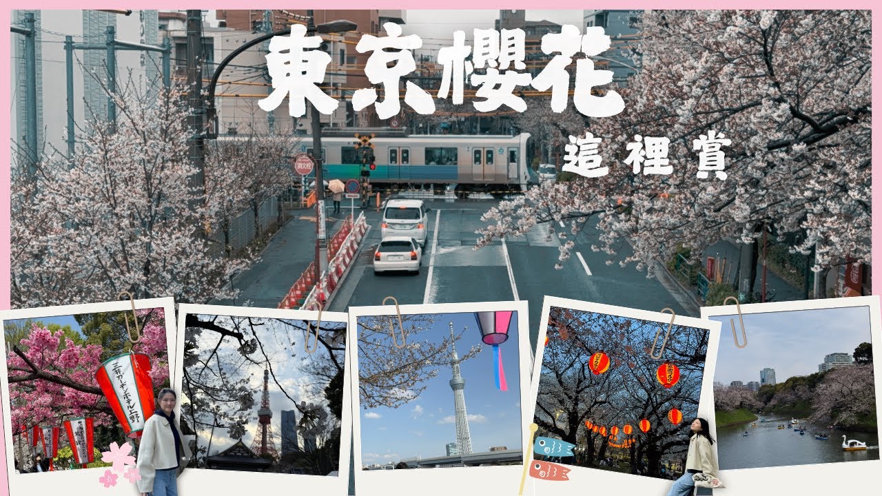 【東京賞櫻攻略🌸】賞櫻景點&櫻花祭：市區8選！東京自由行旅行Vlog｜千鳥淵 上野恩賜公園 隅田公園 錦糸公園 目黑櫻花祭 新宿御苑 芝公園 中野通