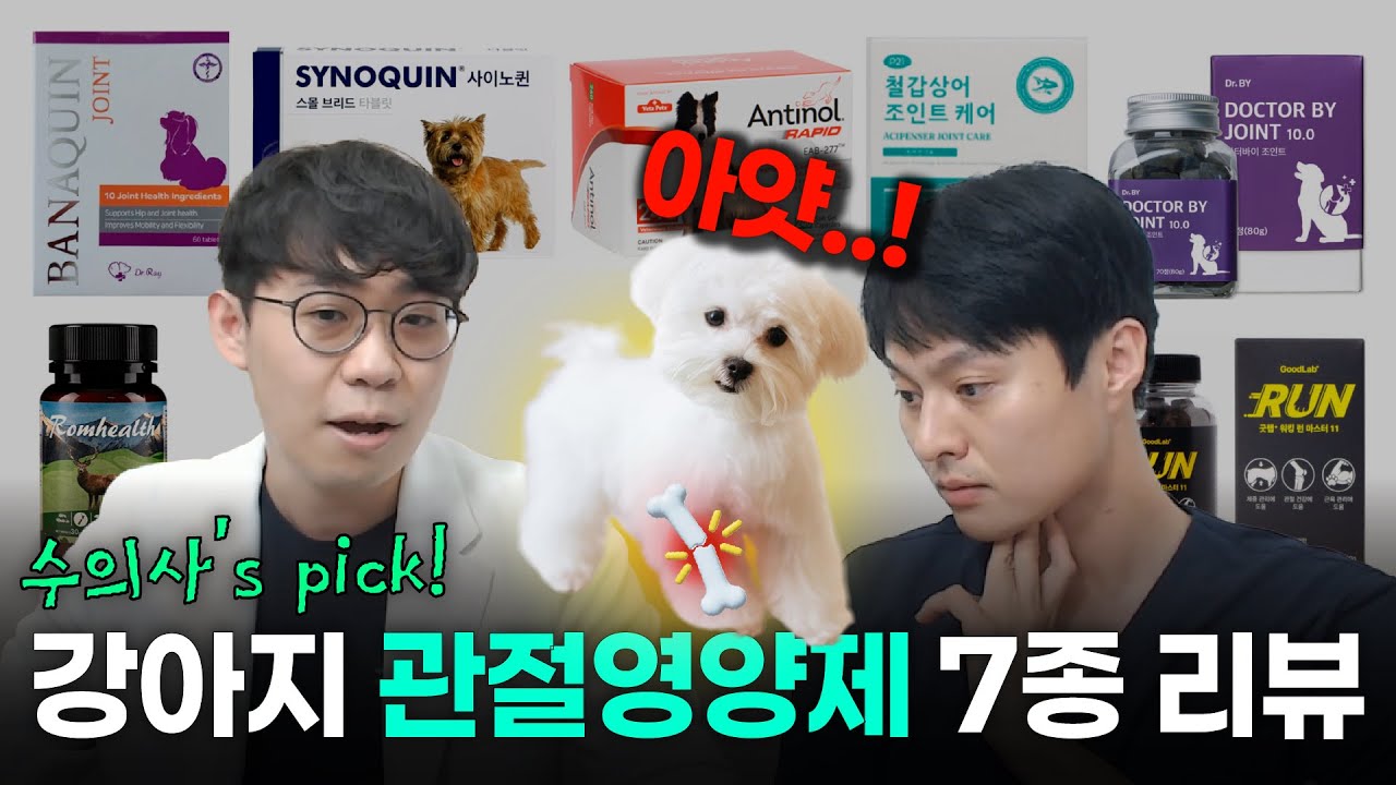 🦴관절영양제 7종 리뷰 (수의사 솔직 평가...!)