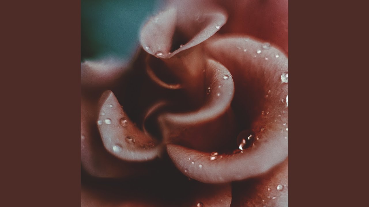 Rainy Day