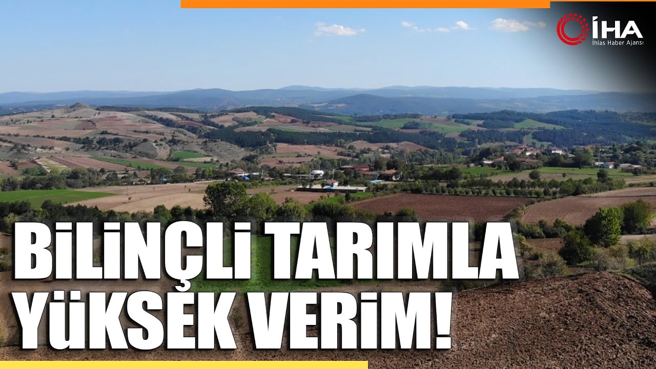 Çeltik Hasadında Rekor Verim