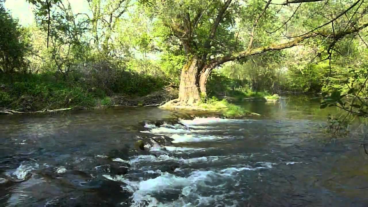 Cool la rivière : l'Ouche