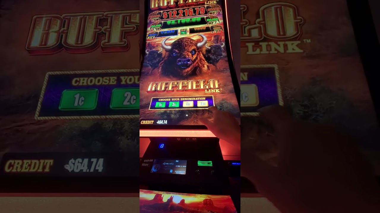 3646. Buffalo link slot 20260217 190550