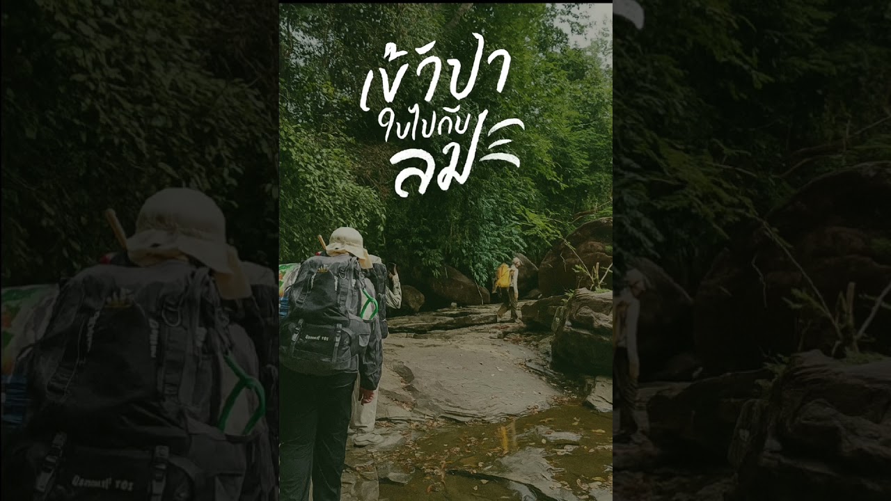 เพลงเดินป่า