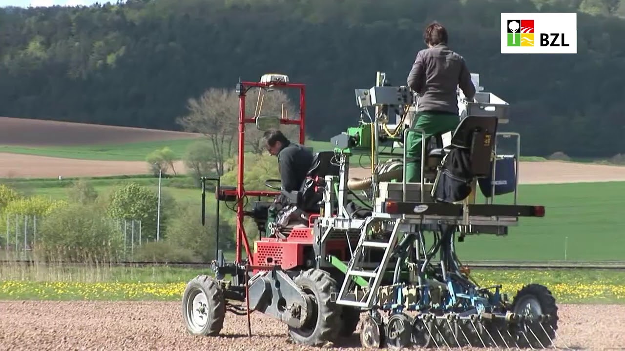 Heimische Hülsenfrüchte – was sie so besonders macht