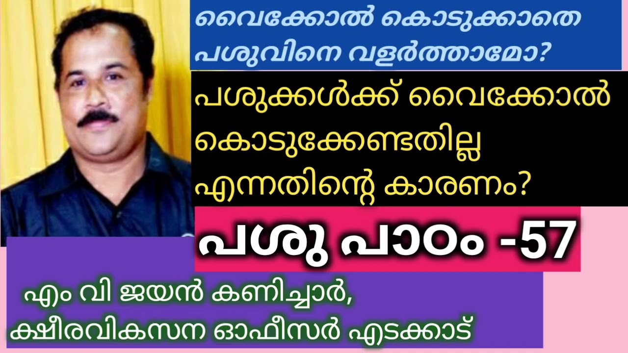 പശുക്കൾക്ക് വൈക്കോൽ കൊടുക്കേണ്ടതില്ല എന്നതിന്റെ കാരണം എന്ത്?