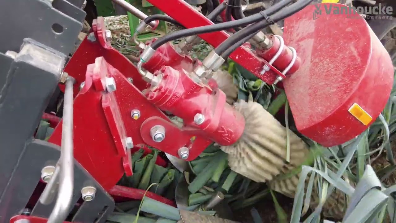VITUS Porrum Auto