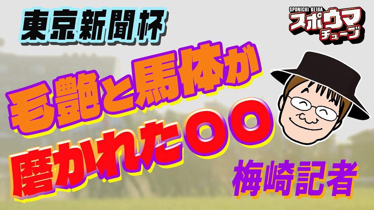 スポニチ競馬予想【東京新聞杯】梅崎晴光記者がガチ予想!!
