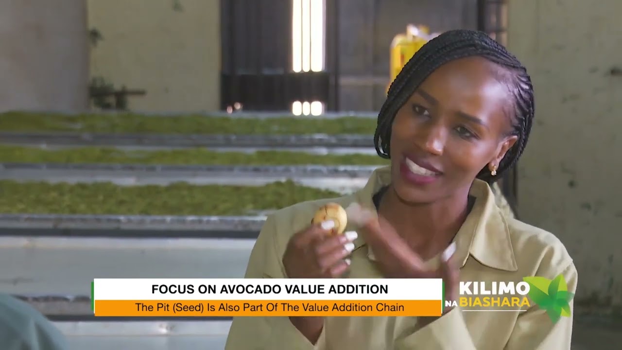 An African solution to avocado oil processing.