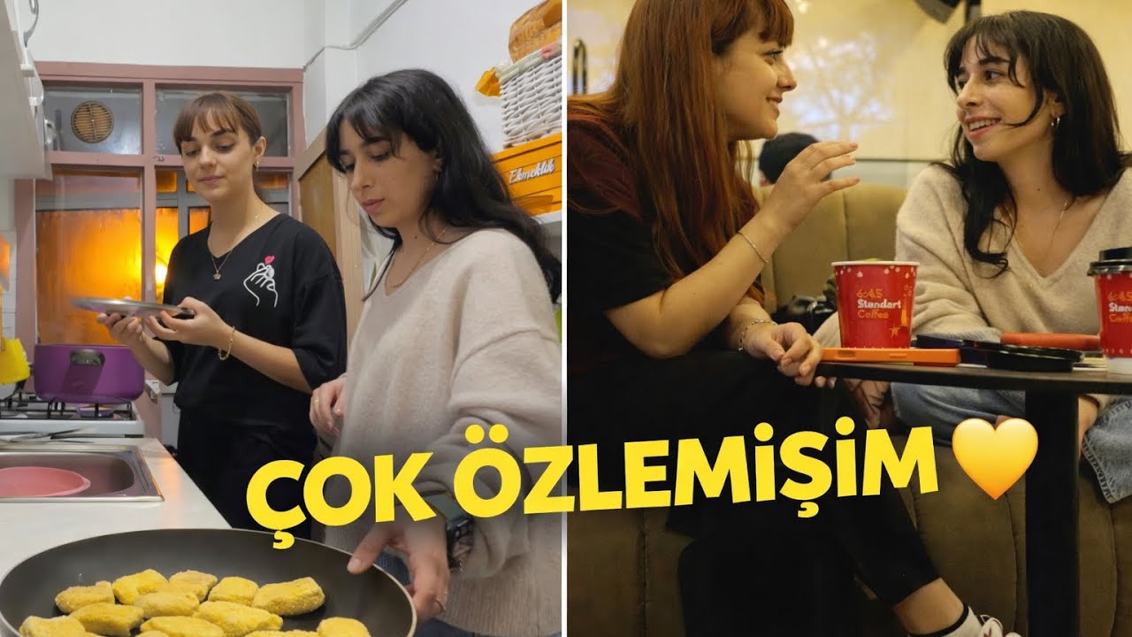 Günlük Vlog, Narminlerle 1 gün vlogu