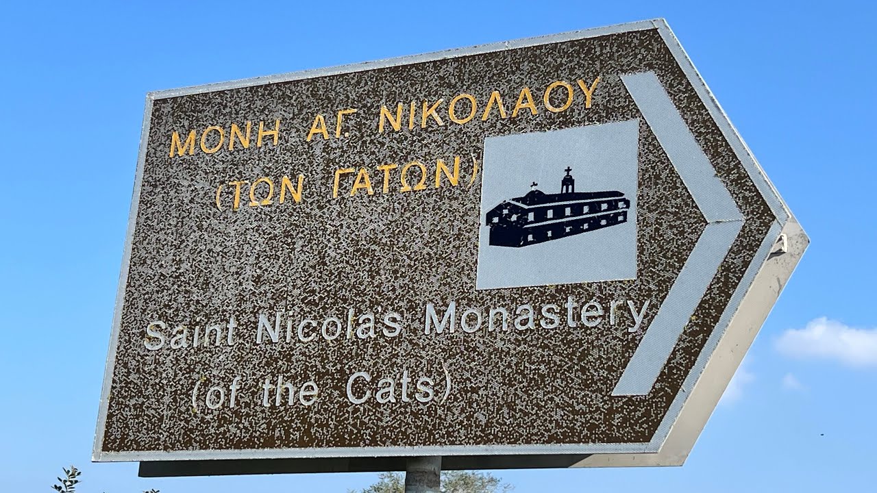 Saint Nicolas Monastery Of Cats Limassol Cyprus 15/1/25 #catlover