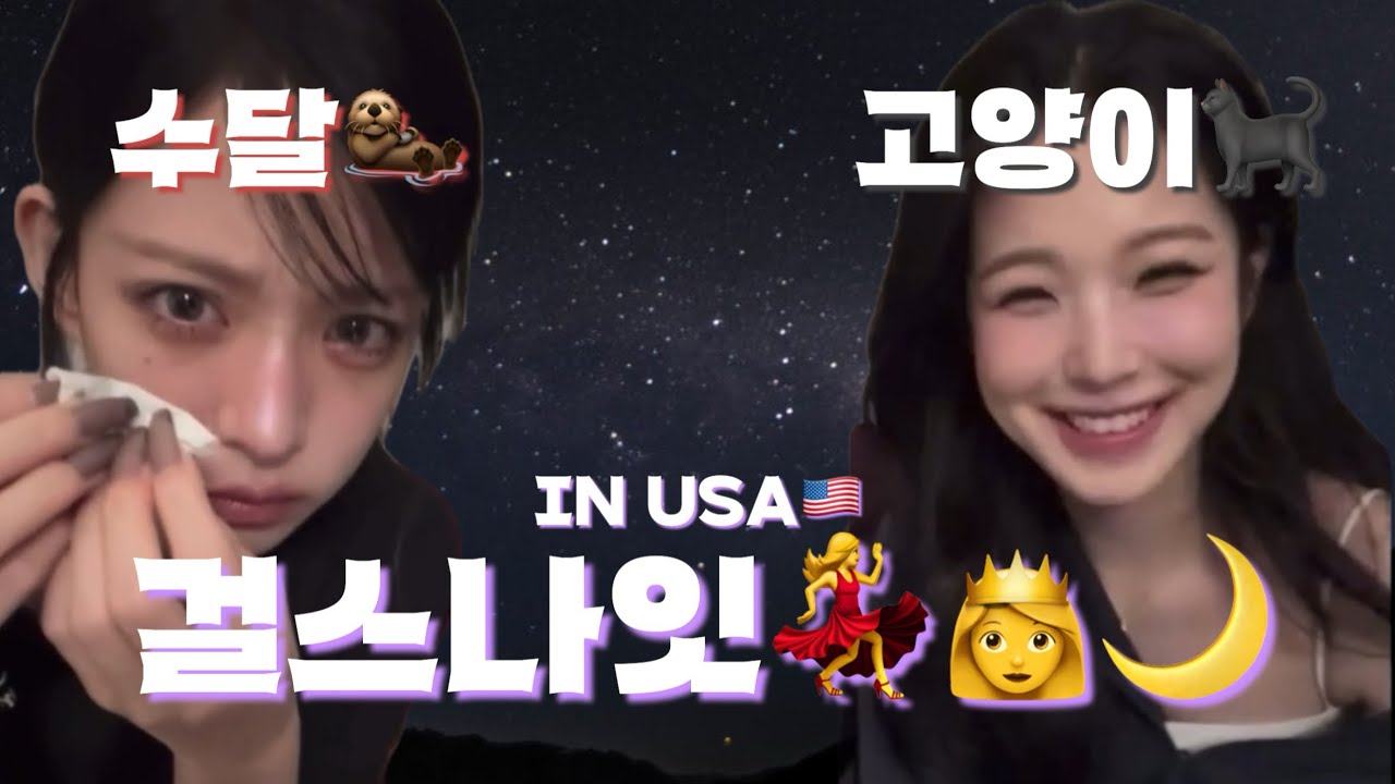 [프로미스나인] 수달과 고양이의 걸스나잇 in USA🇺🇸