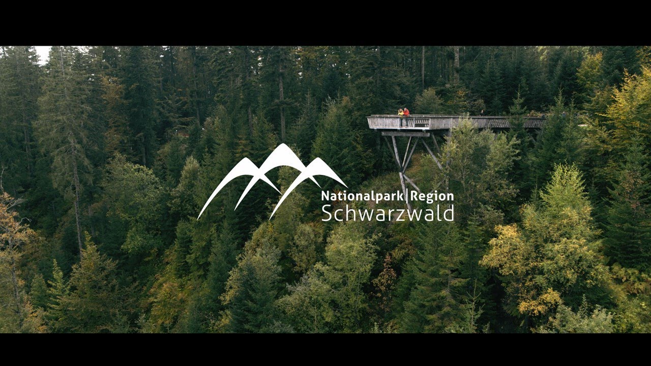 Herbst in der Nationalparkregion Schwarzwald