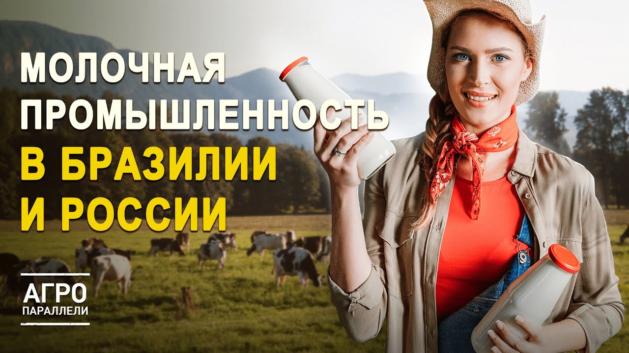 Молочная промышленность в РФ и Бразилии: значение отрасли для двух стран. Агропараллели. Выпуск №6