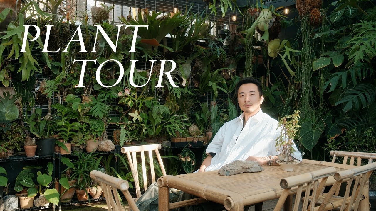 Inside JiaHao’s Plant-filled Home | Curious objects & animals