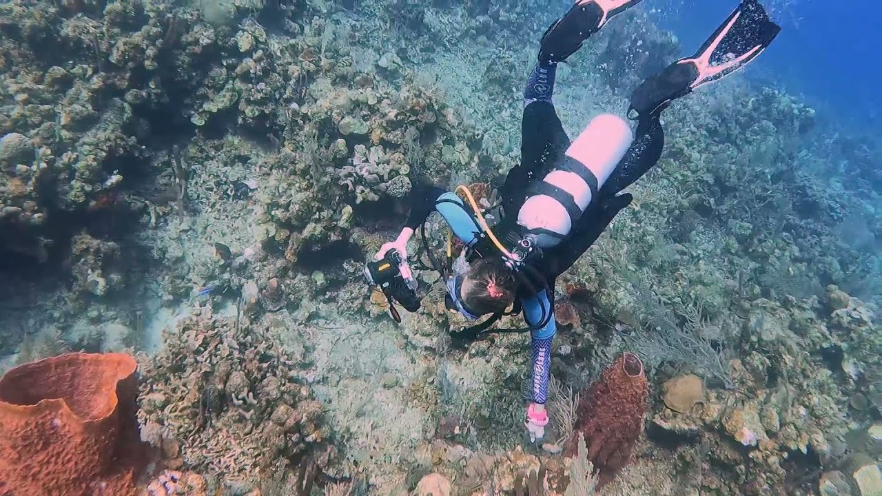 Last day of diving Roatan 2021 Just Add Water Buddies