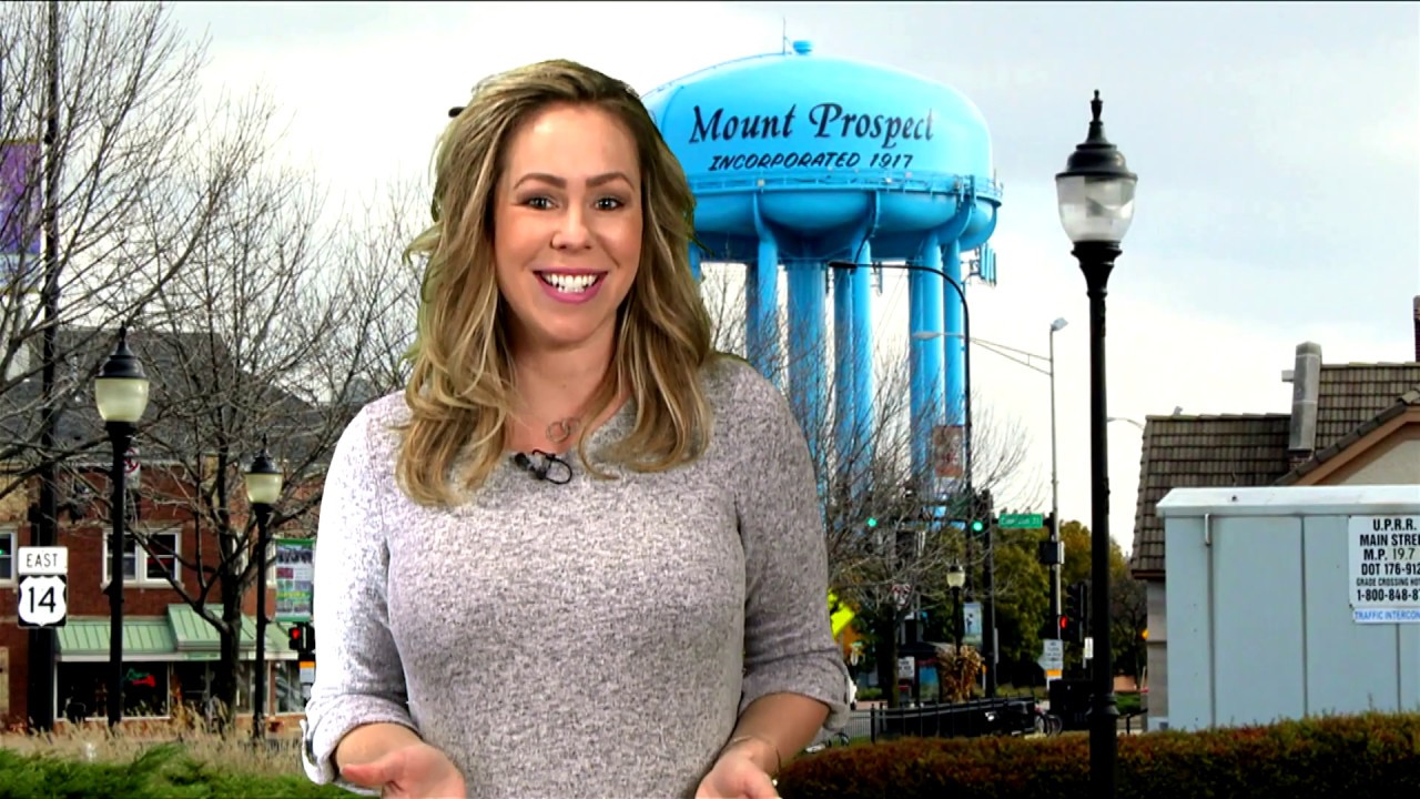 Mount Prospect Update
