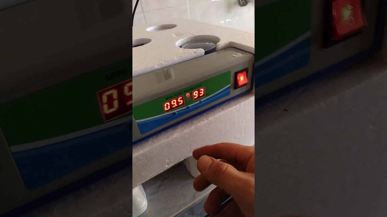 35 lik kuluçka makinası kullanımı
