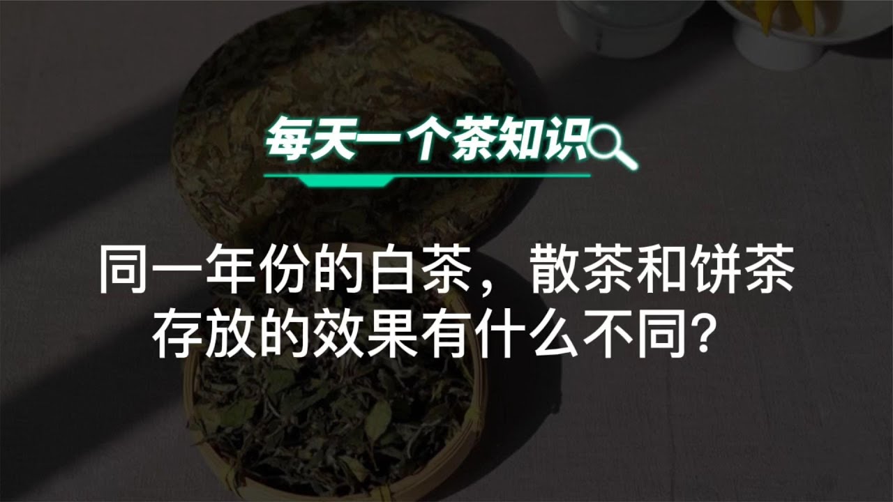 同一年份白茶，散茶和饼茶的存放效果有什么不同？