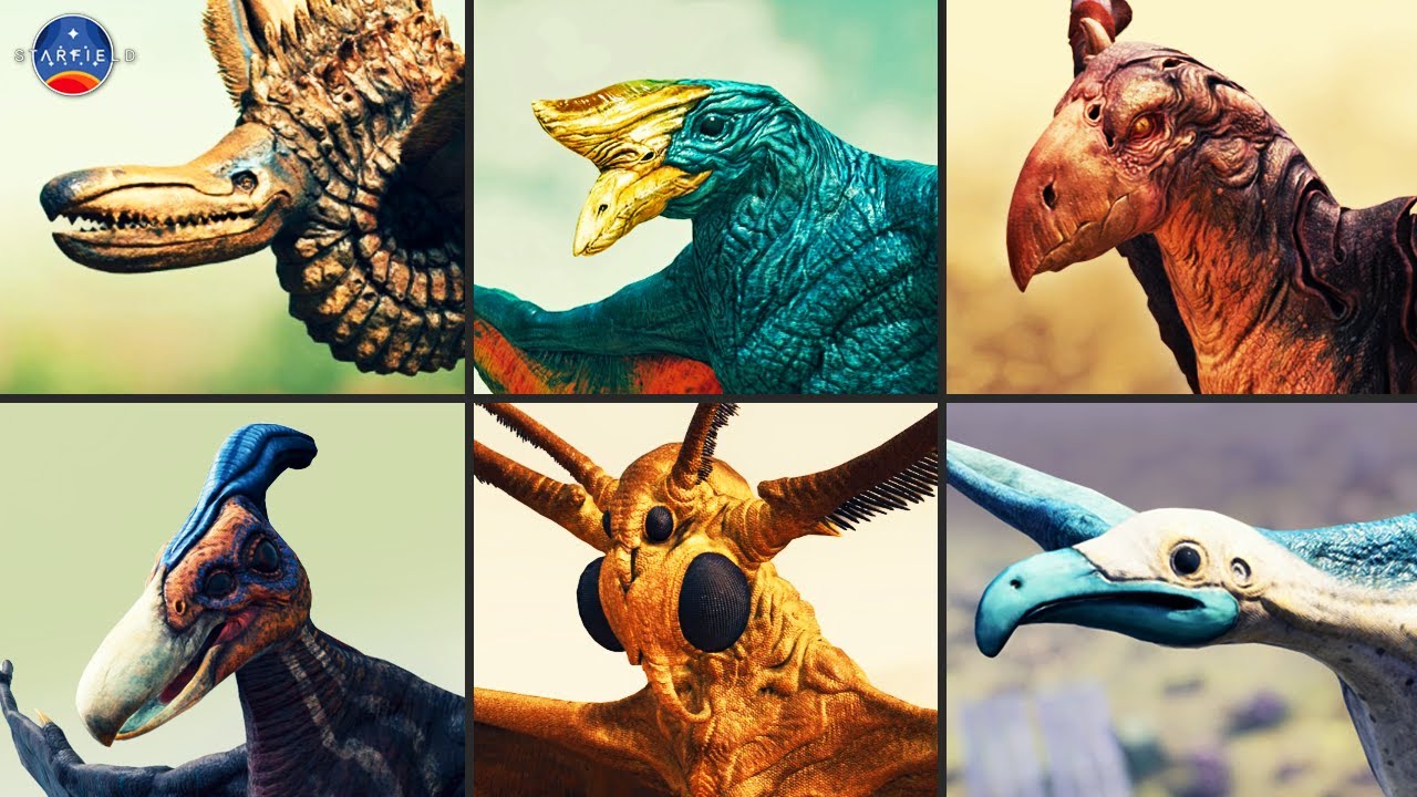 All 'Flying' Alien Creatures in Starfield [Fauna Showcase]