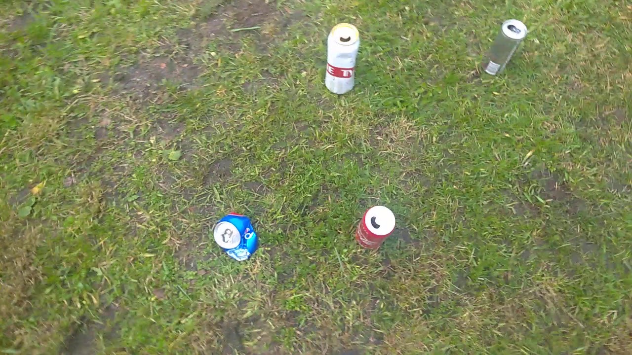 mennica podwórkowa