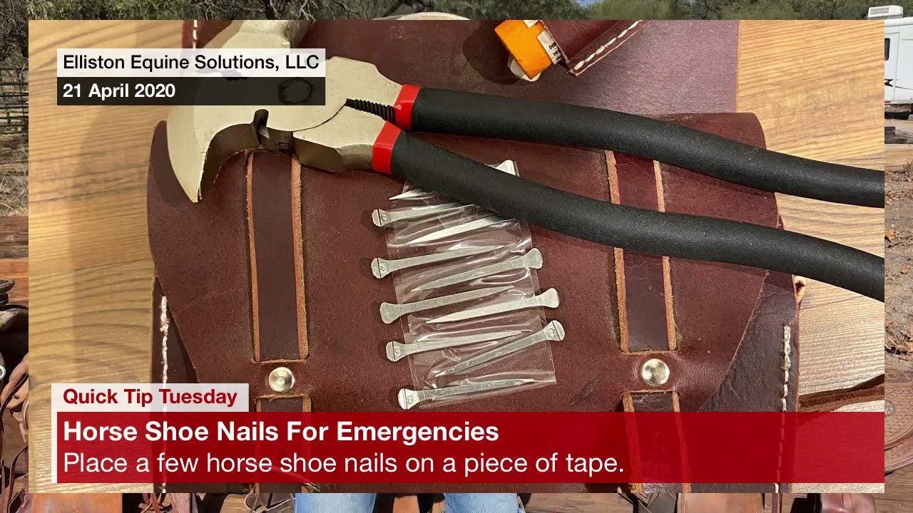 SIMPLE NAIL HOLDERS FOR TROUBLED TIMES