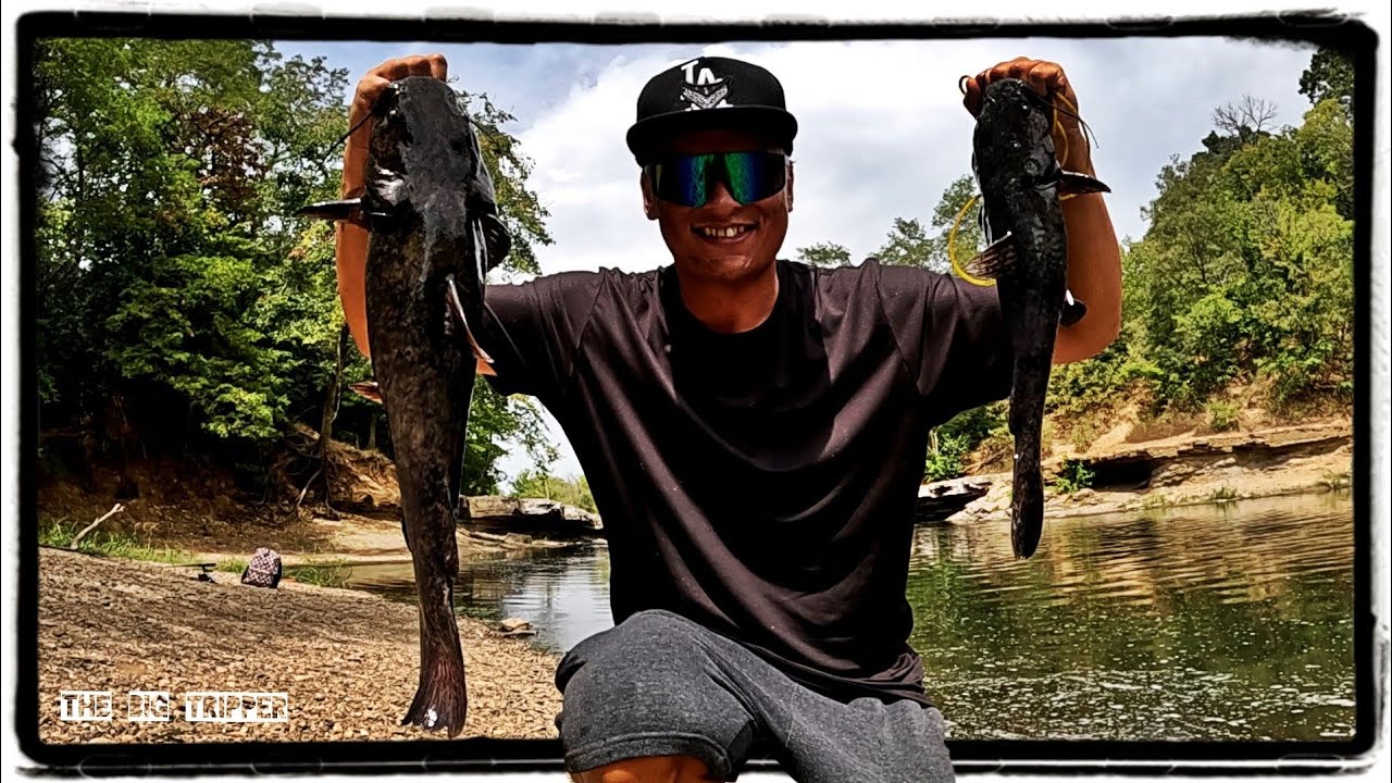 I Caught 5 Different Species + A New PB Flathead 