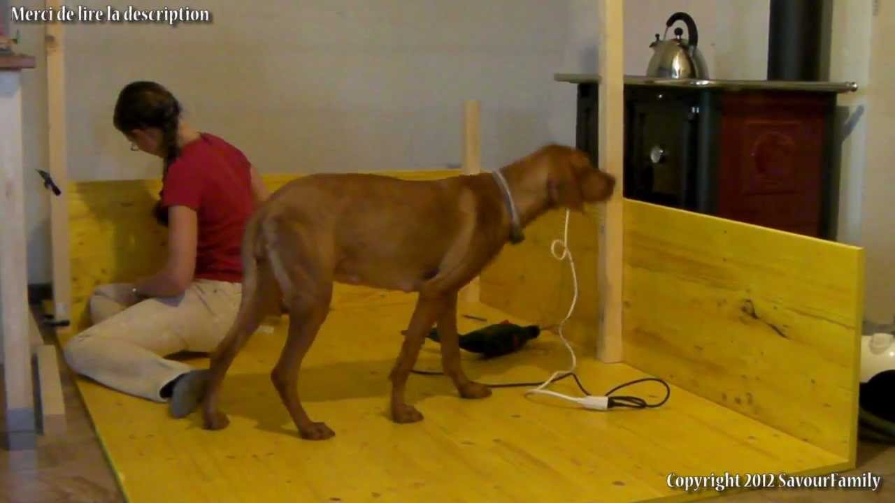 1/3 Construction d'une caisse de mise bas pour notre chienne Vizsla (vidéo 1 sur 3)
