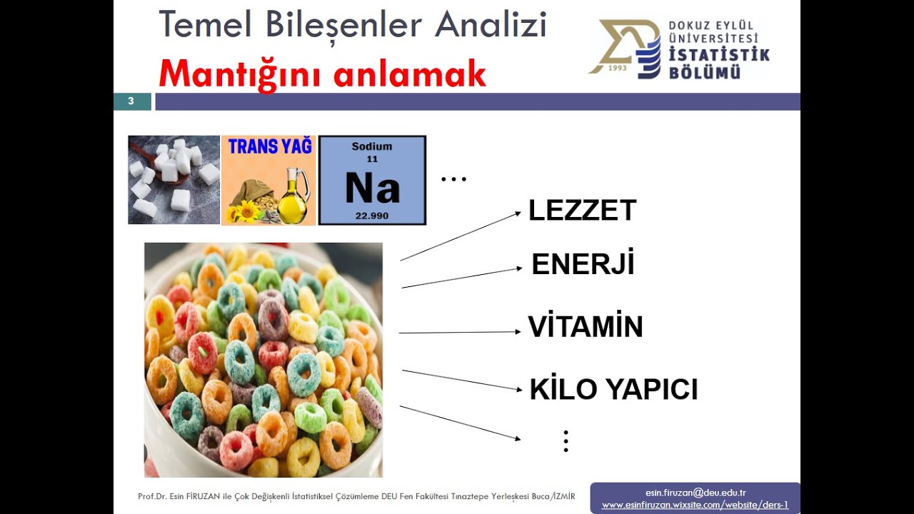 12)Temel Bileşenler Analizi nedir?