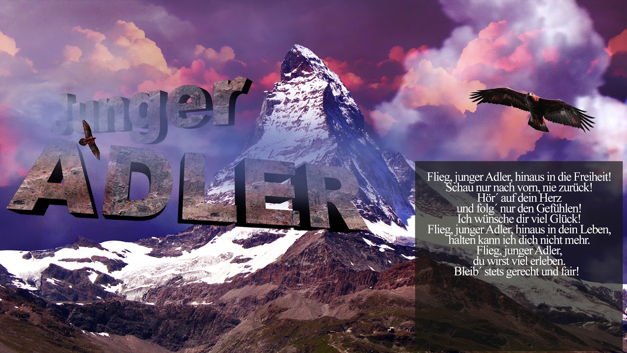 Junger Adler