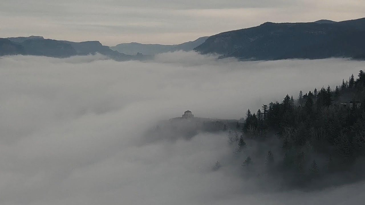 Piechota - Szczyt  🎥 [Official Video]
