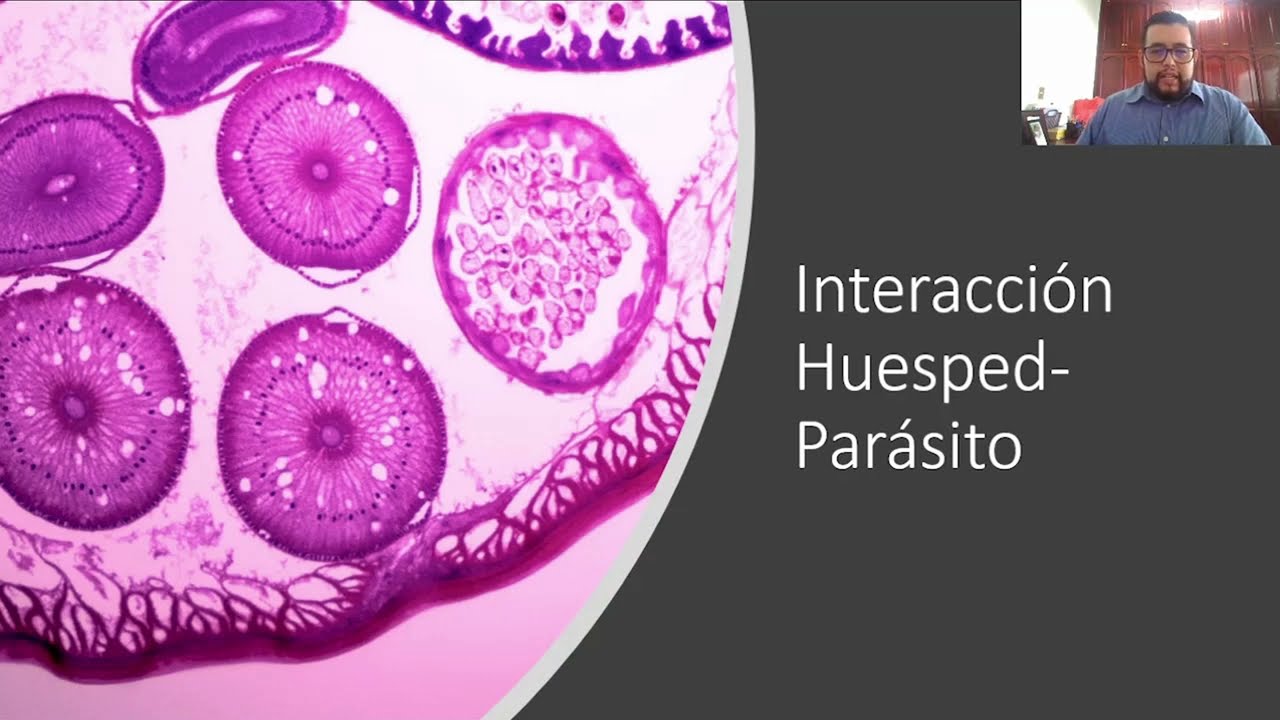 3. Relación Huésped-Parásito