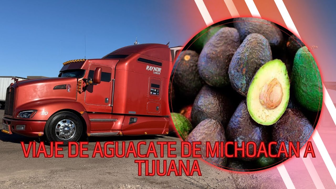 Está ves tocó llevar AGUACATE de MICHOACAN a TIJUANA en convoy con compañeros del mismo 400