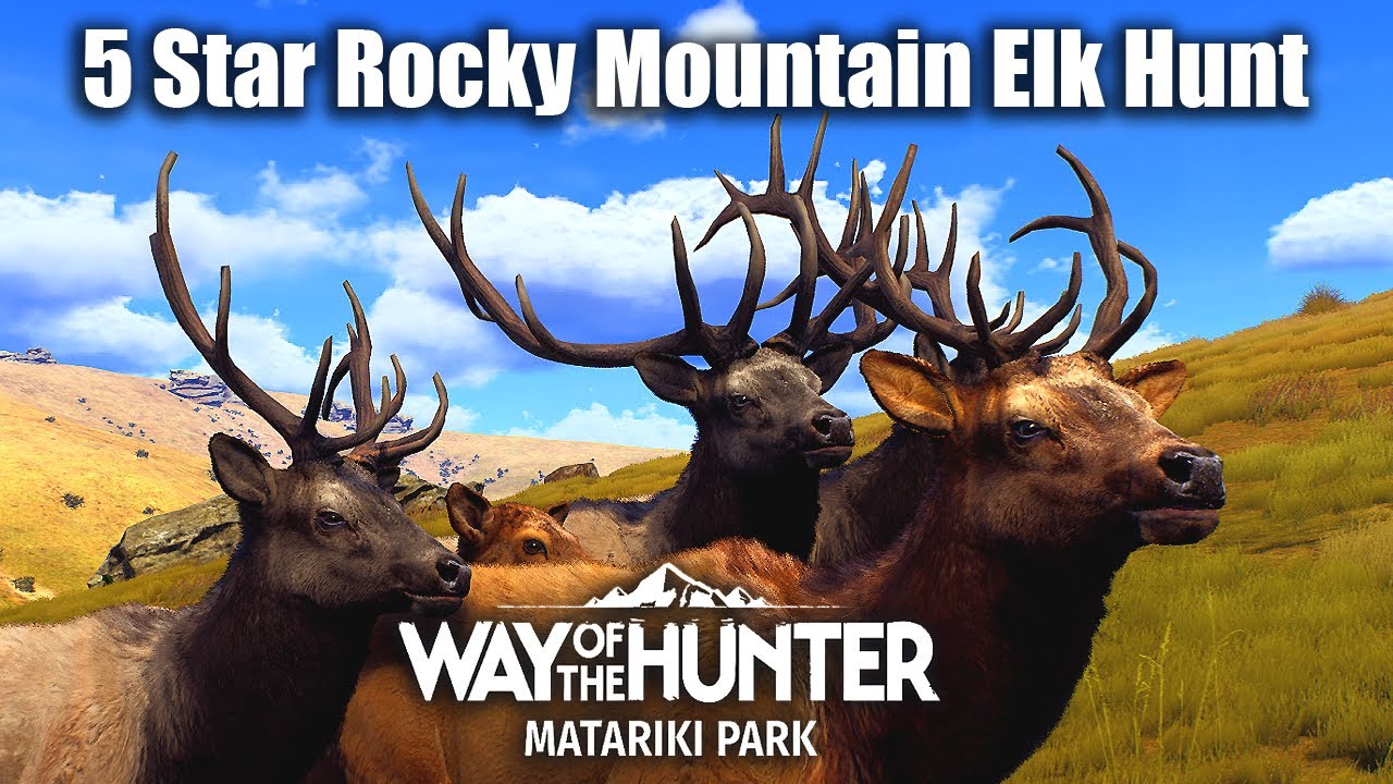 Way Of The Hunter - 5 Star Rocky Mountain Elk Hunt