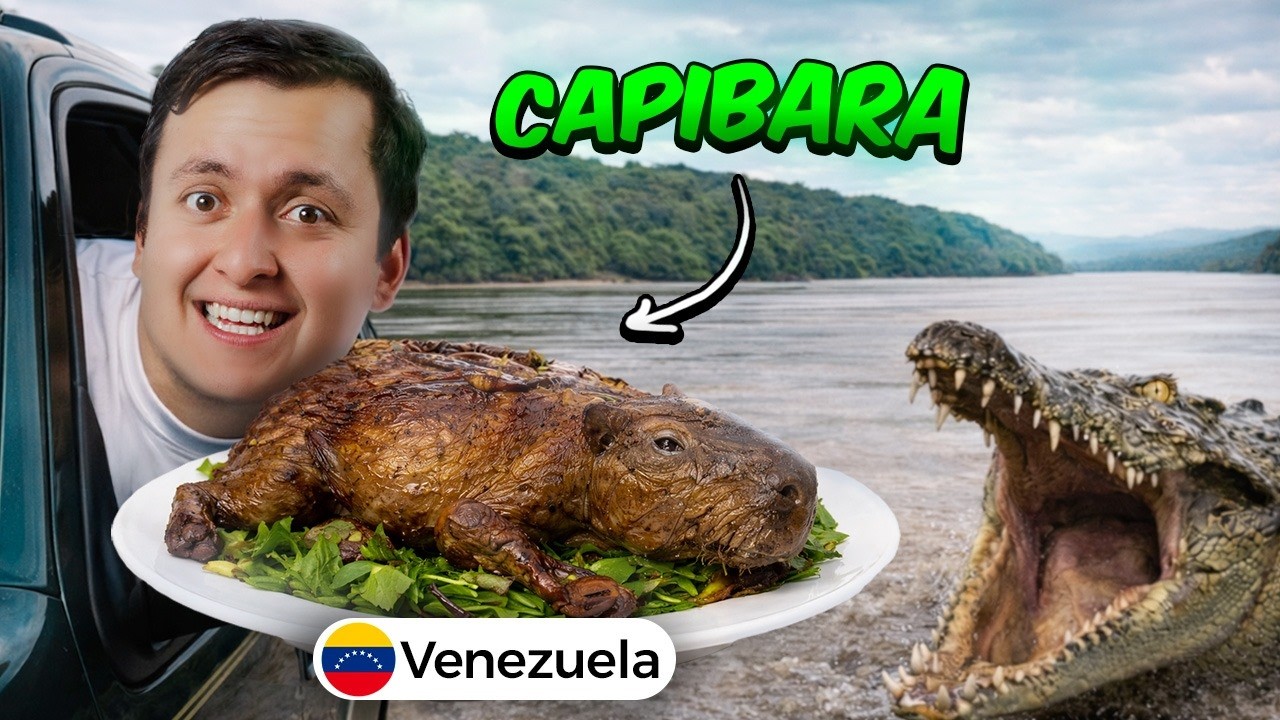 🇻🇪 El camino al Amazonas Venezolano 🇻🇪🐊🐍