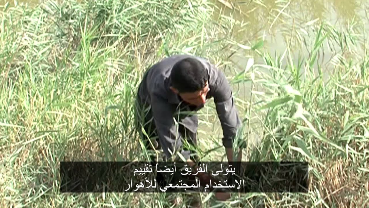 AR Iraqi Marshes v6 UPDATE v1 MIXED AUDIO HD 1080p2