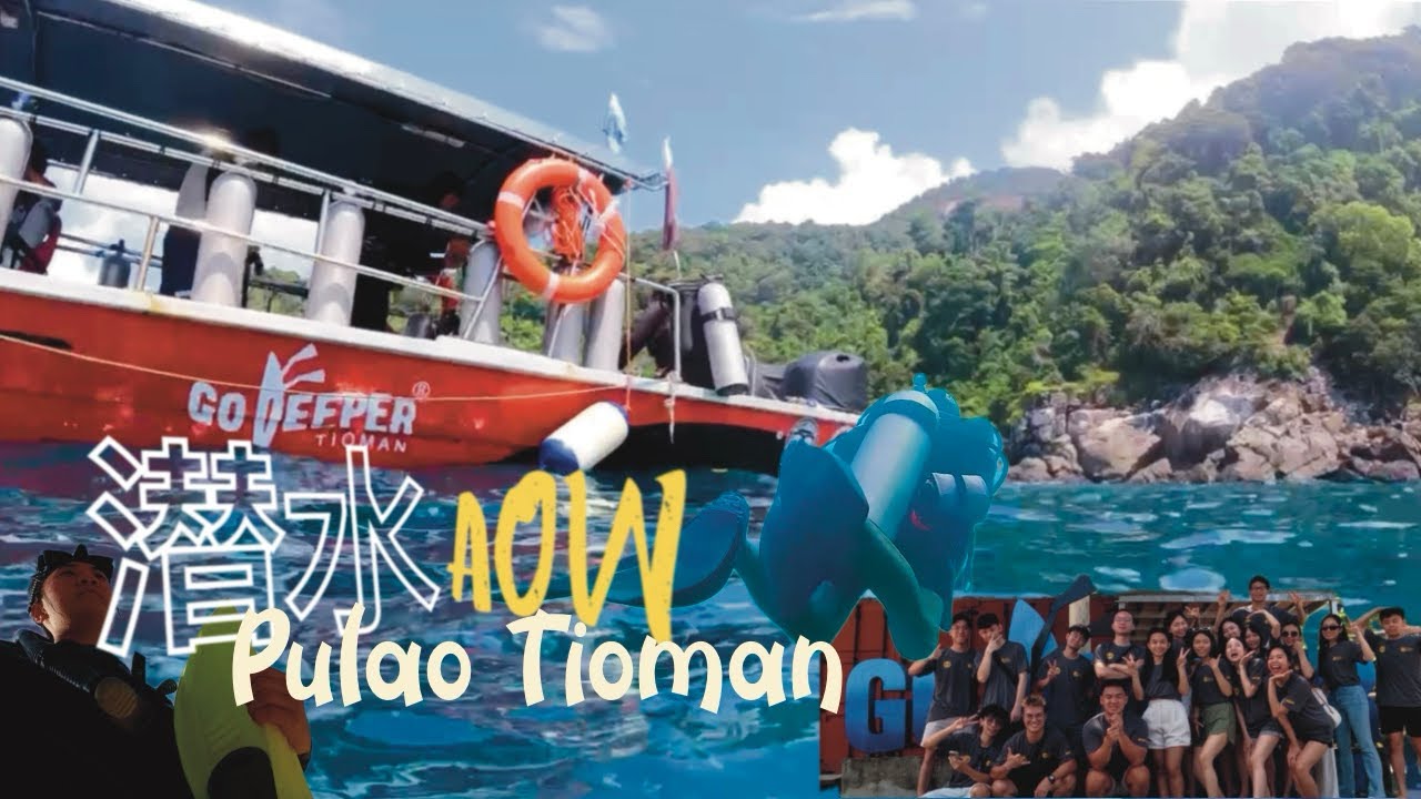 🇲🇾 刁曼岛潜水Vlog｜考到AOW啦！｜AOW Scuba Diving at Pulau Tioman