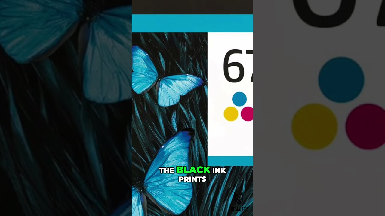 In Depth Review HP DeskJet 2755e Wireless Home Printer