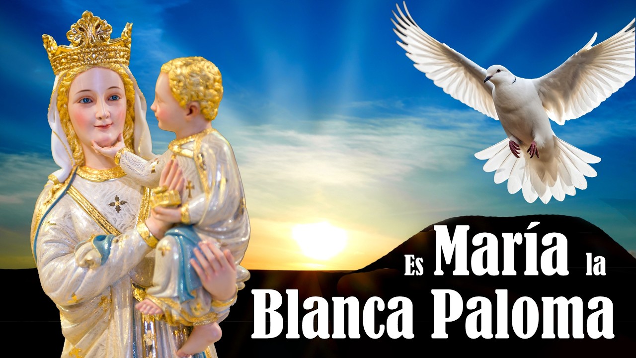 Es María la Blanca Paloma con Letra. Heraldos del Evangelio